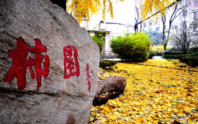 长安大学自动化类专业录取分数线【四川高考理科】