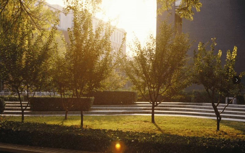 2024年北京林业大学自然地理与资源环境专业在内蒙古录取分数线参考