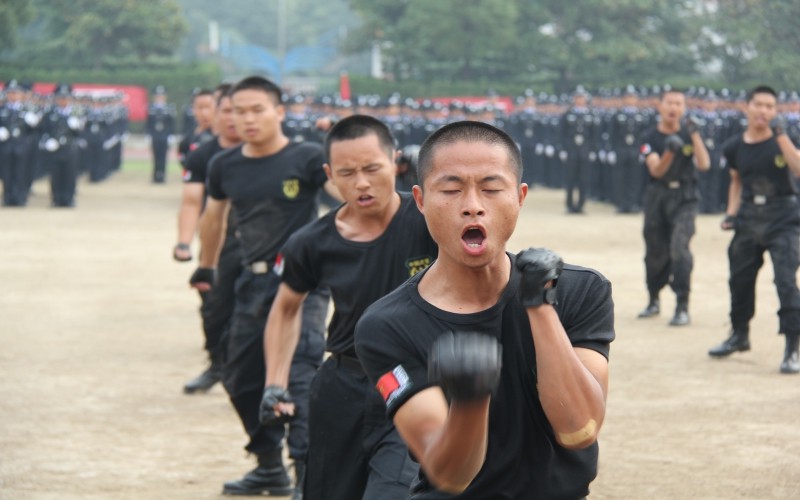2023年武汉警官职业学院在重庆招生专业及招生人数汇总