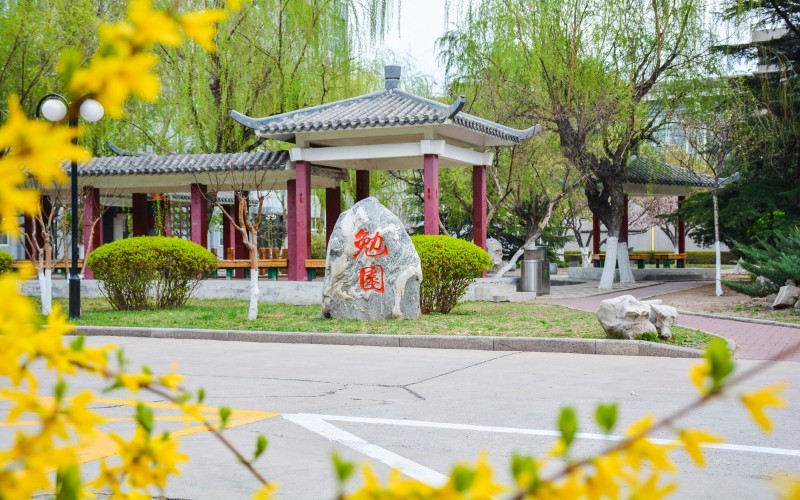 2023年辽宁考生多少分可以上天津职业技术师范大学机器人工程专业？