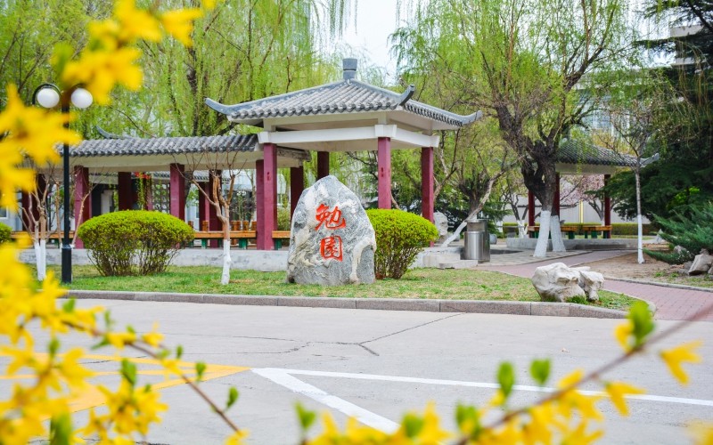 内蒙古理科考生排多少名可以上天津职业技术师范大学少数民族预科班（教育技术学）专业?