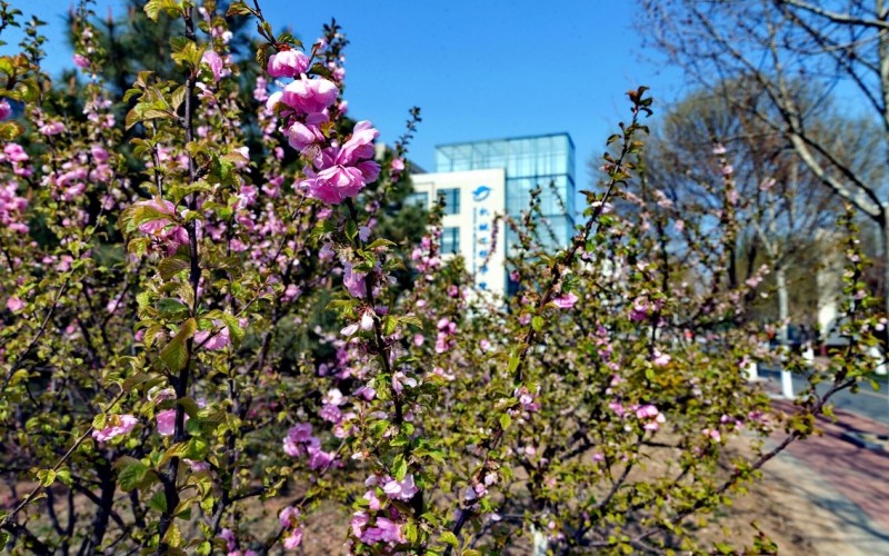 天津职业技术师范大学光电信息科学与工程（师范类）专业录取分数线【天津高考综合】