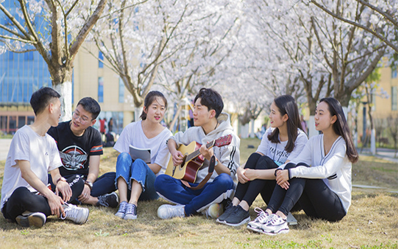 遵义师范学院数学与应用数学专业录取分数线【山东高考综合】