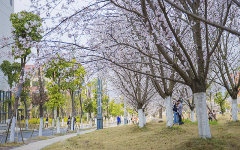 遵义师范学院学前教育（师范类）专业在内蒙古招生录取分数(理科)：392分