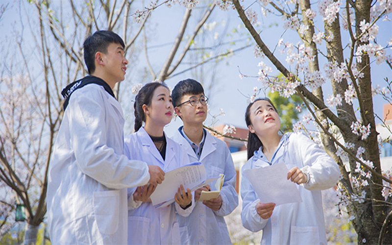 2023年遵义师范学院在内蒙古招生专业有哪些？学费是多少？