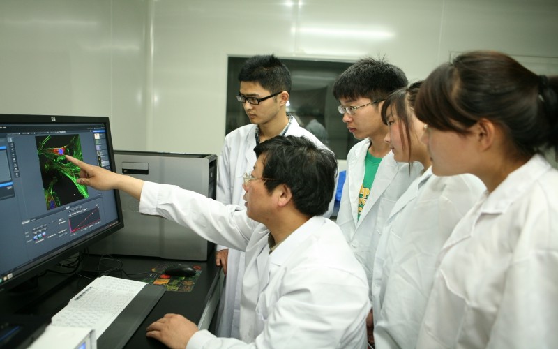 2023年浙江考生多少分可以上安徽科技学院电子信息工程专业？
