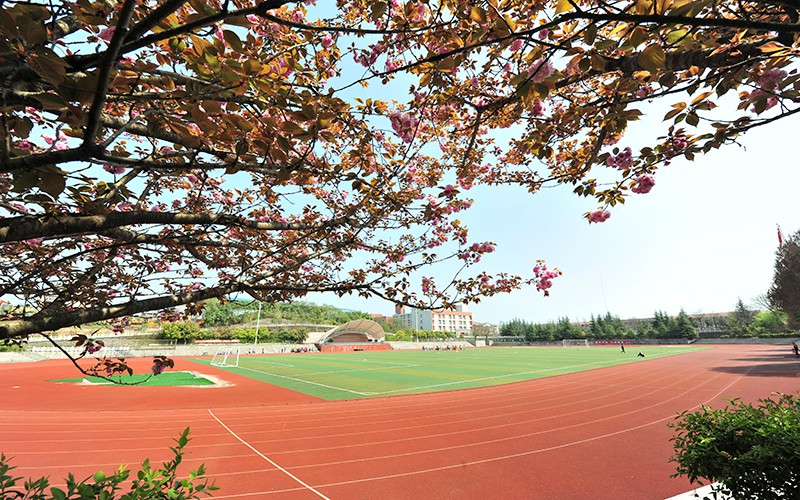 2023年重庆幼儿师范高等专科学校在湖北录取批次及录取分数参考