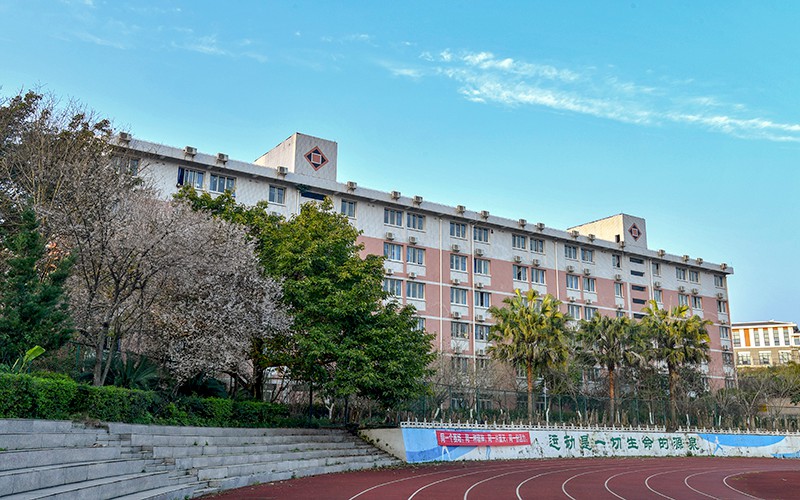 重庆幼儿师范高等专科学校美术教育专业在重庆招生录取分数(物理类)：384分