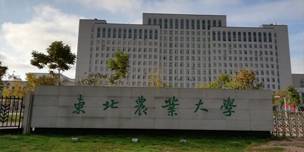 ​东北农业大学法学专业介绍