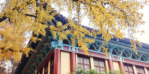 ​南京师范大学小学教育(师范)专业介绍