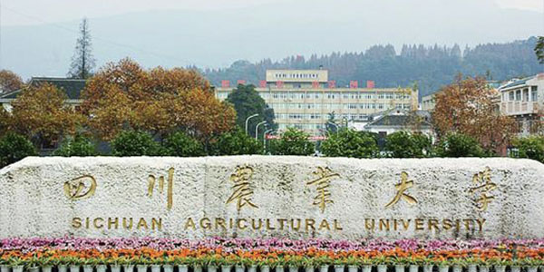 ​四川农业大学金融学专业介绍