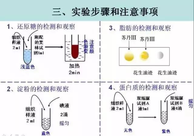 生物16大实验原理解析，高中生必备！