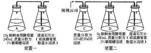 生物16大实验原理解析，高中生必备！