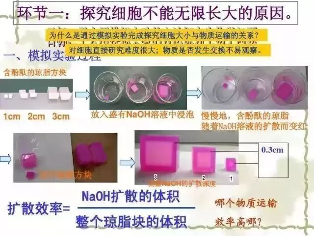 生物16大实验原理解析，高中生必备！