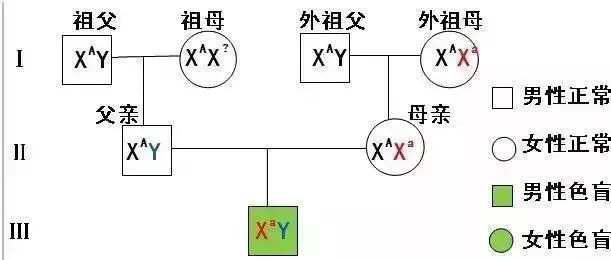 生物16大实验原理解析，高中生必备！