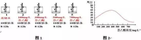 生物16大实验原理解析，高中生必备！