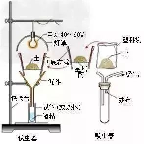生物16大实验原理解析，高中生必备！