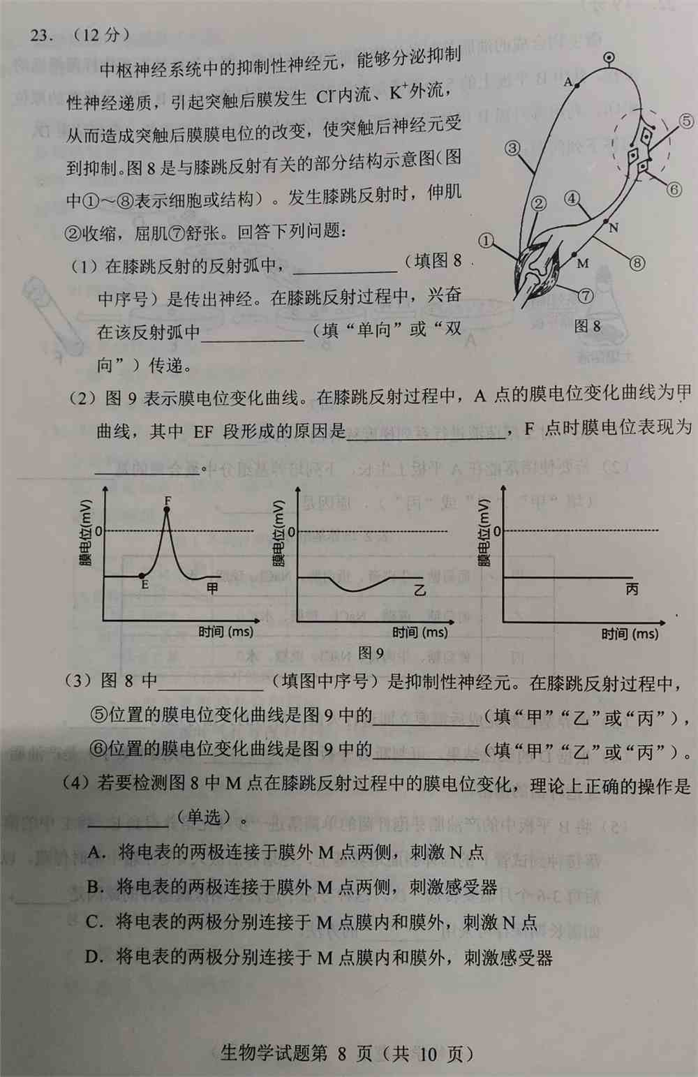 辽宁省2021年新高考适应性测试生物试题