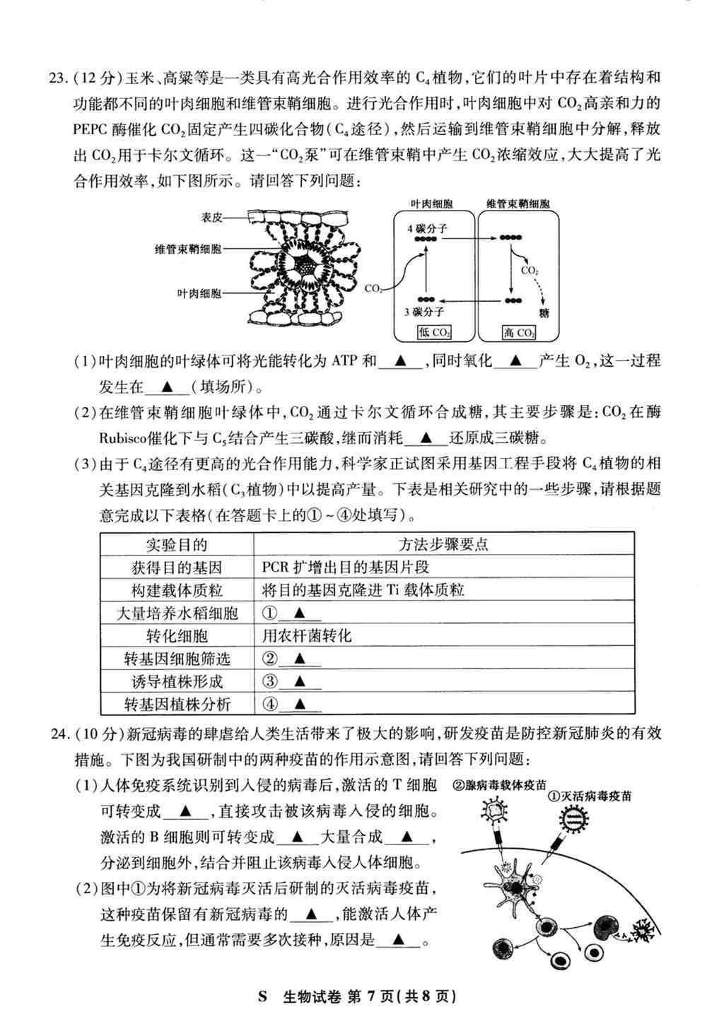 江苏省2021年新高考适应性测试生物试题