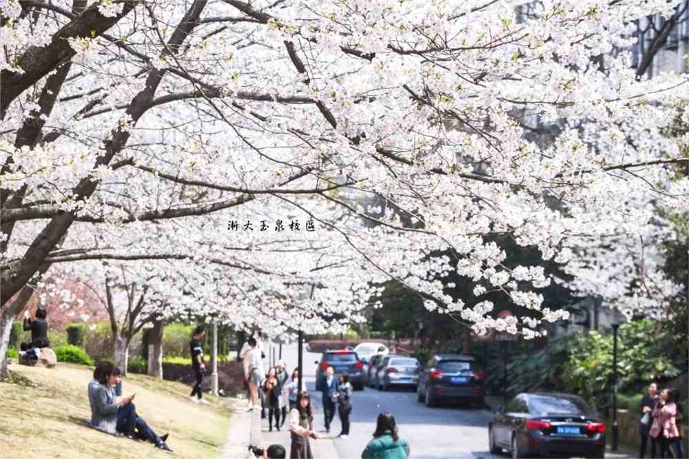 实拍！50所高校校花大PK~