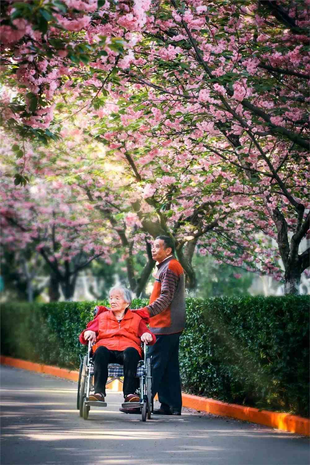 实拍！50所高校校花大PK~