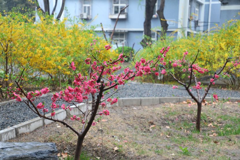 实拍！50所高校校花大PK~