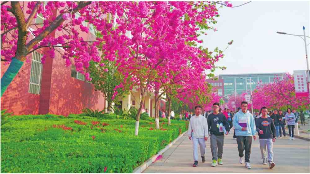云南经济管理学院2021年报考指南重磅发布！
