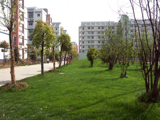 长江职业学院怎么样_评价如何（王牌专业+网友评价）
