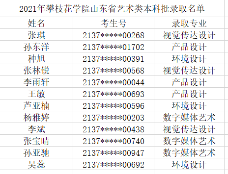 攀枝花学院2021年山东省艺术类本科批结果