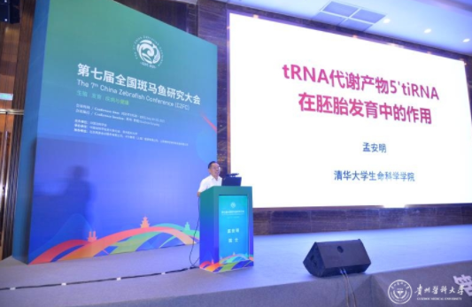 QQ截图20210726101853.png