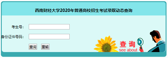 西南财经大学2021年高考录取查询入口