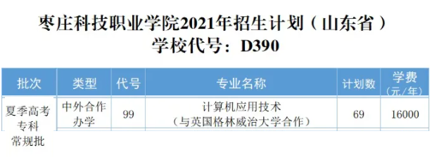 2021枣庄科技职业学院中外合作办学招生计划-各专业招生人数