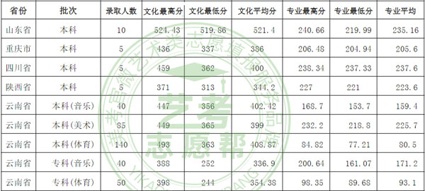 普洱学院2020年艺术类本科专业录取线
