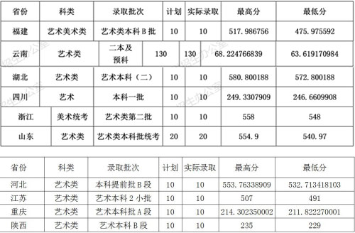 云南财经大学2020年美术类本科专业录取分数线