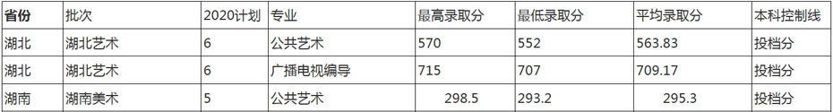 闽南师范大学2020年艺术类本科专业录取分数线