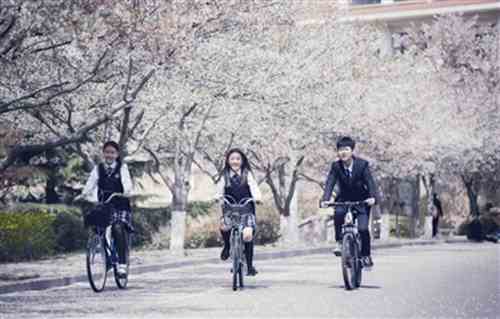 中国海洋大学:奋力书写与青岛共立潮头的发展新篇章