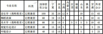 宁夏大学2020年艺术类本科专业招生人数