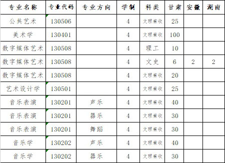 河西学院2020年艺术类本科专业招生人数