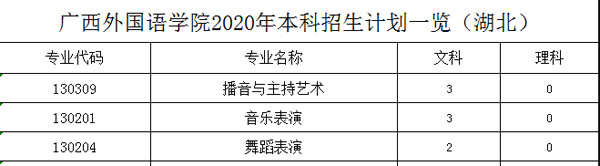 广西外国语学院2020年艺术类本科专业招生人数