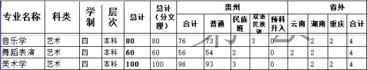 2018年六盘水师范学院艺术类本科专业招生计划