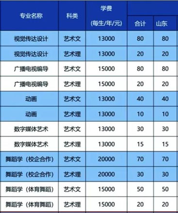 潍坊理工学院2018年艺术类本科招生计划
