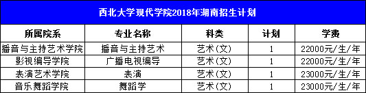 西北大学现代学院2018年艺术类本科招生计划