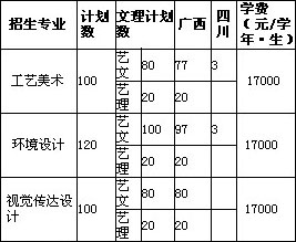 南宁学院2018年美术类本科专业招生计划