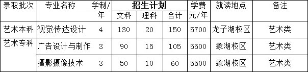 河南财政金融学院2019年河南省美术类专业招生计划