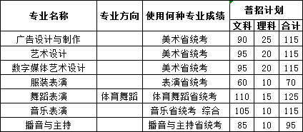 2019年郑州工商学院艺术类专业招生计划