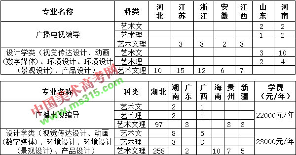 2019年武昌首义学院艺术类本科专业招生计划