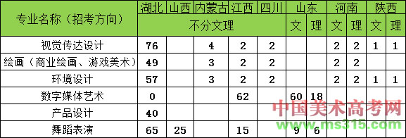 2019年武汉工商学院艺术类本科专业招生计划