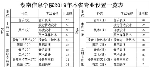 2019年湖南信息学院艺术类本科专业招生计划