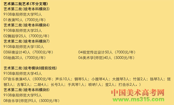 2019年阜阳师范大学艺术类本科专业招生计划