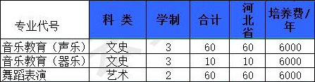 2019年沧州师范学院艺术类专业招生计划